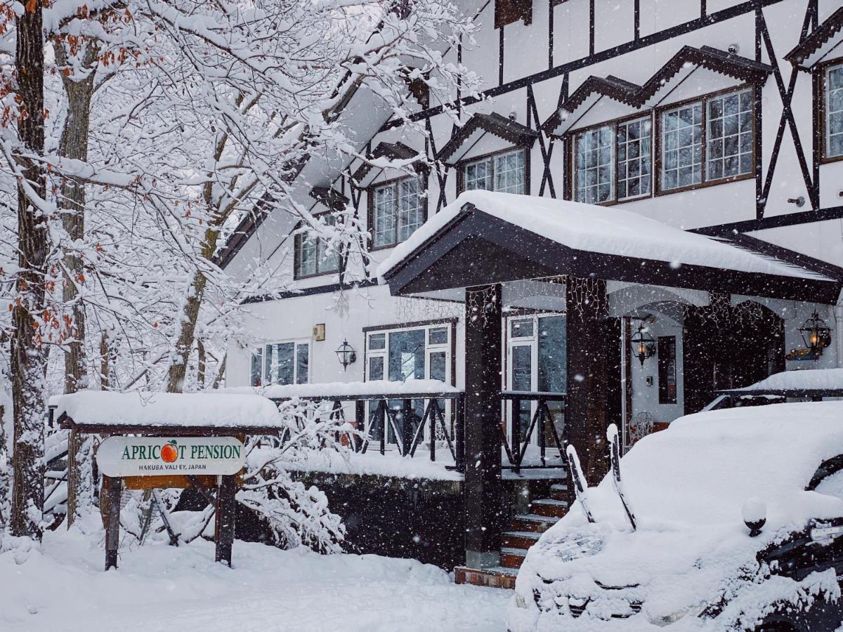 Apricot Pension 白马村 外观 照片